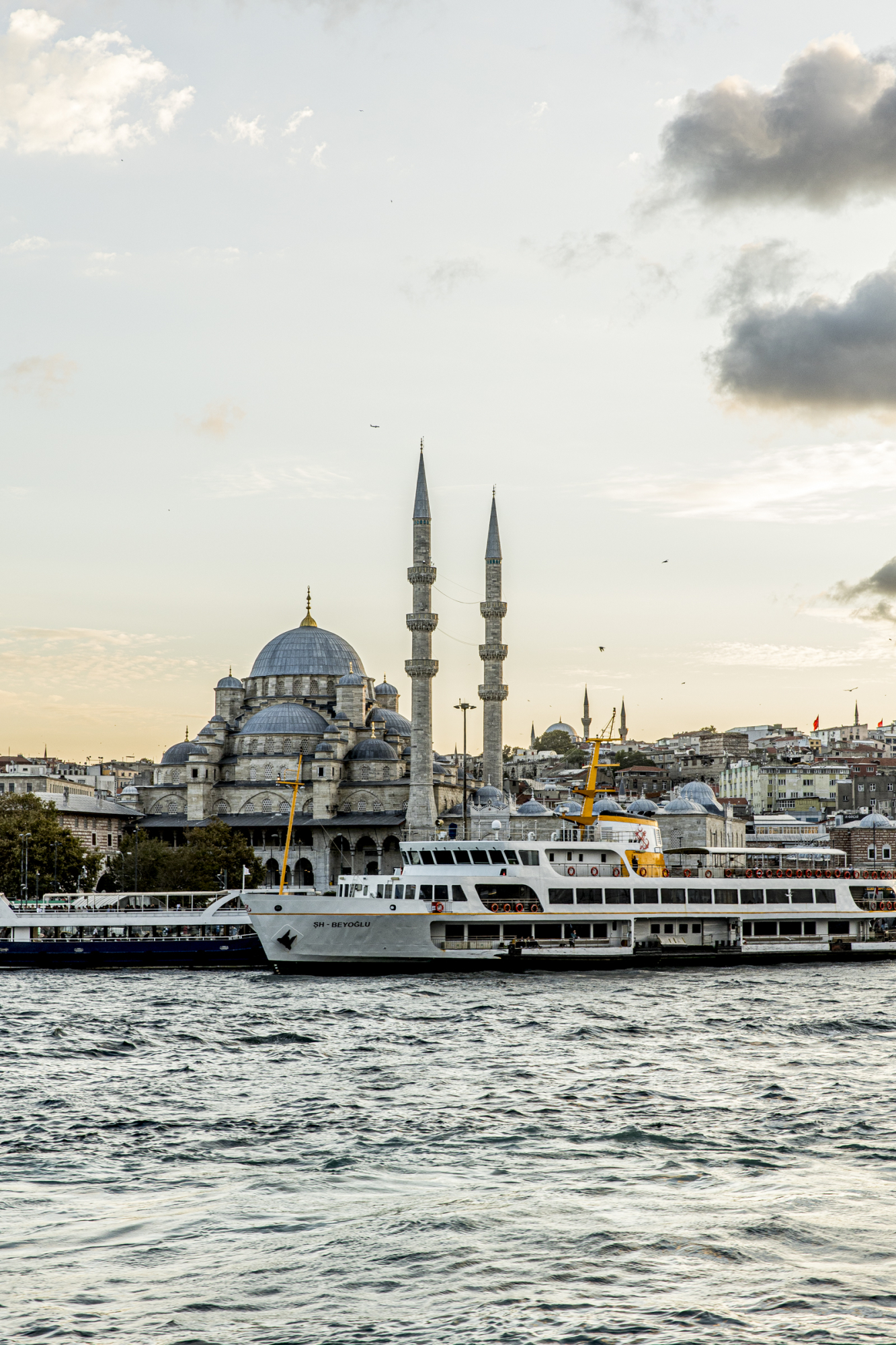 morattium photography -61012