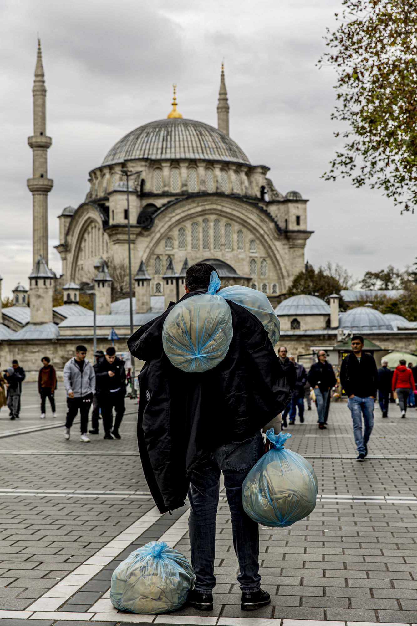 morattium photography -62293