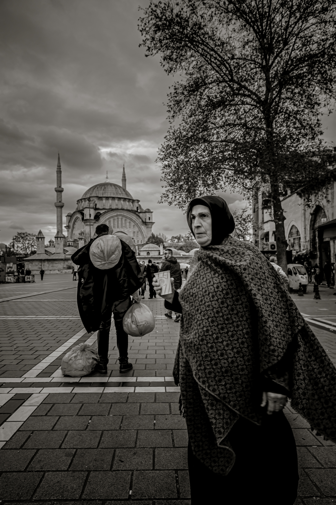 morattium photography -62294